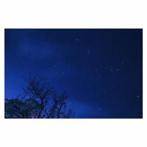 欧美做受❌❌❌高潮
